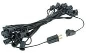 Novelty Lights 25 Foot C7 Outdoor String Light, Christmas Stringer