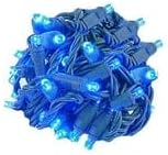 Novelty Lights 25ft 50 LED Blue Christmas Lights, Green Wire String Lights