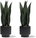 2Pcs Artificial Plants Sansevieria Snake Plant with Ceramic Pot
