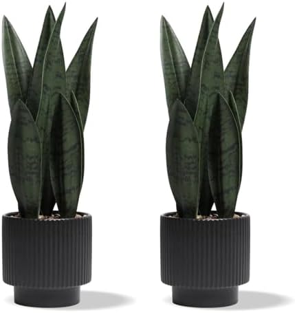 2Pcs Artificial Plants Sansevieria Snake Plant with Ceramic Pot