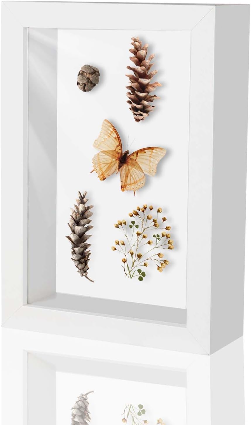 4x6 White Shadow Box Frame Display Case