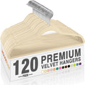 HOUSE DAY Beige Velvet Hangers 120 Pack, Premium Non Slip Clothes Hanger