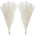 60 Pcs White Pampas Grass ,17 inch/45 cm Natural Dried Pampas Grass Branches Decor for Home Kitchen Garden Party Photographing Flower Arrangement Vase Decor（White
