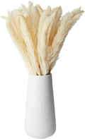 Farmlyn Creek Natural Pampas Grass Bundle & Ceramic Vase - 40 Stems, 16 in Tall, Ivory - Dried Pampas Grass Decor - Rustic Farmhouse Home Decor - Table & Wedding Centerpiece
