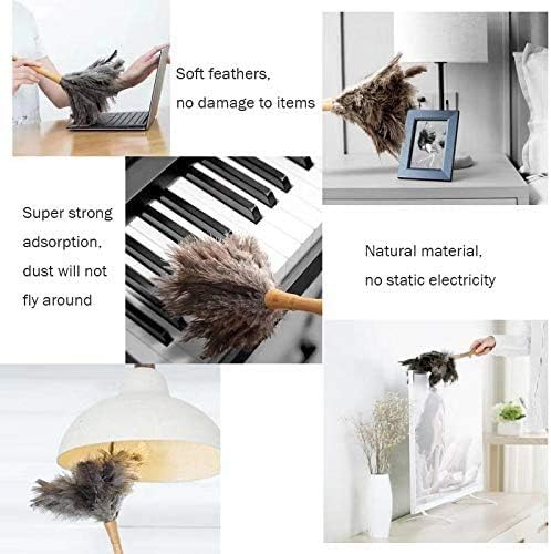 DDZMZ Ostrich Feather Duster with Wooden Handle, 16 inch, Black