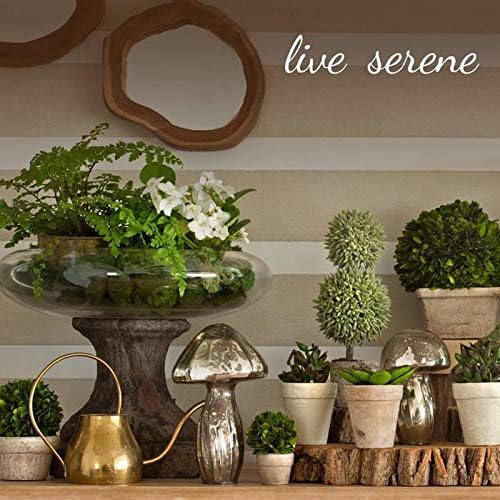 Serene Spaces Birch Bark Candle Set - 3 Pillar Candles Bring Nature Indoors, Ideal for Weddings, Parties & Home Decor - 6", 8" & 10" Tall