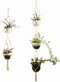 Plant Hanger, Double Plant Hanger Indoor Outdoor Hanging Planter,Hanging Plant Holder-Handmade Cotton Rope 4 Legs 2 Tier 49”3 Tier 68”(Supports 5 Flower Pots) 2 Pack