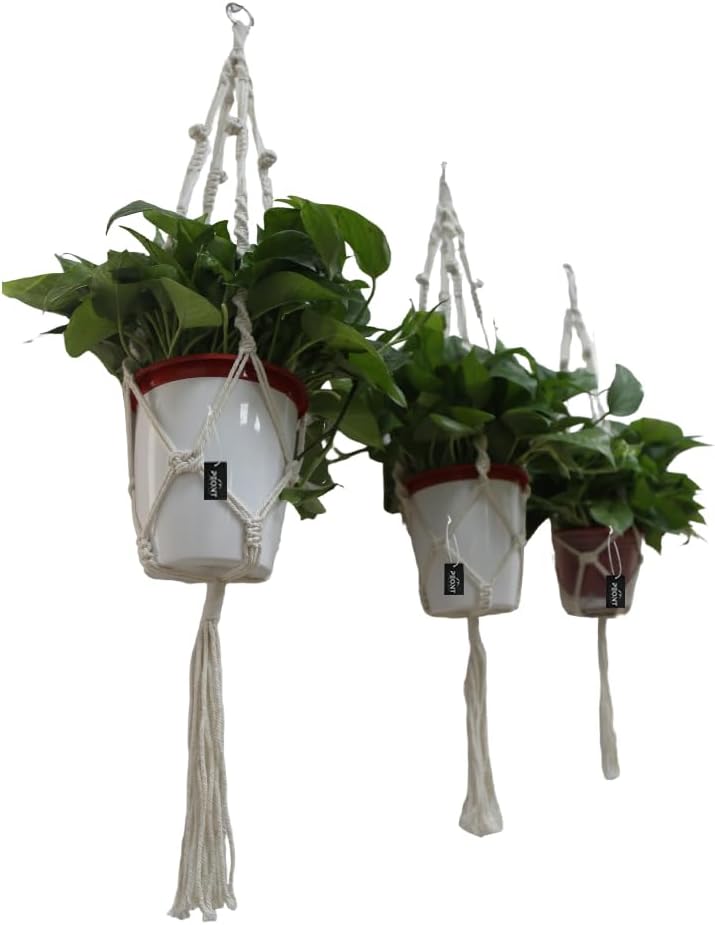 Macrame Plant Hangers Set of 3 – Handmade 39-Inch Indoor/Outdoor Hanging Planters in Ivory with Beads, Boho Home Decor for Pots up to 9 Inches (Pots Not Included)