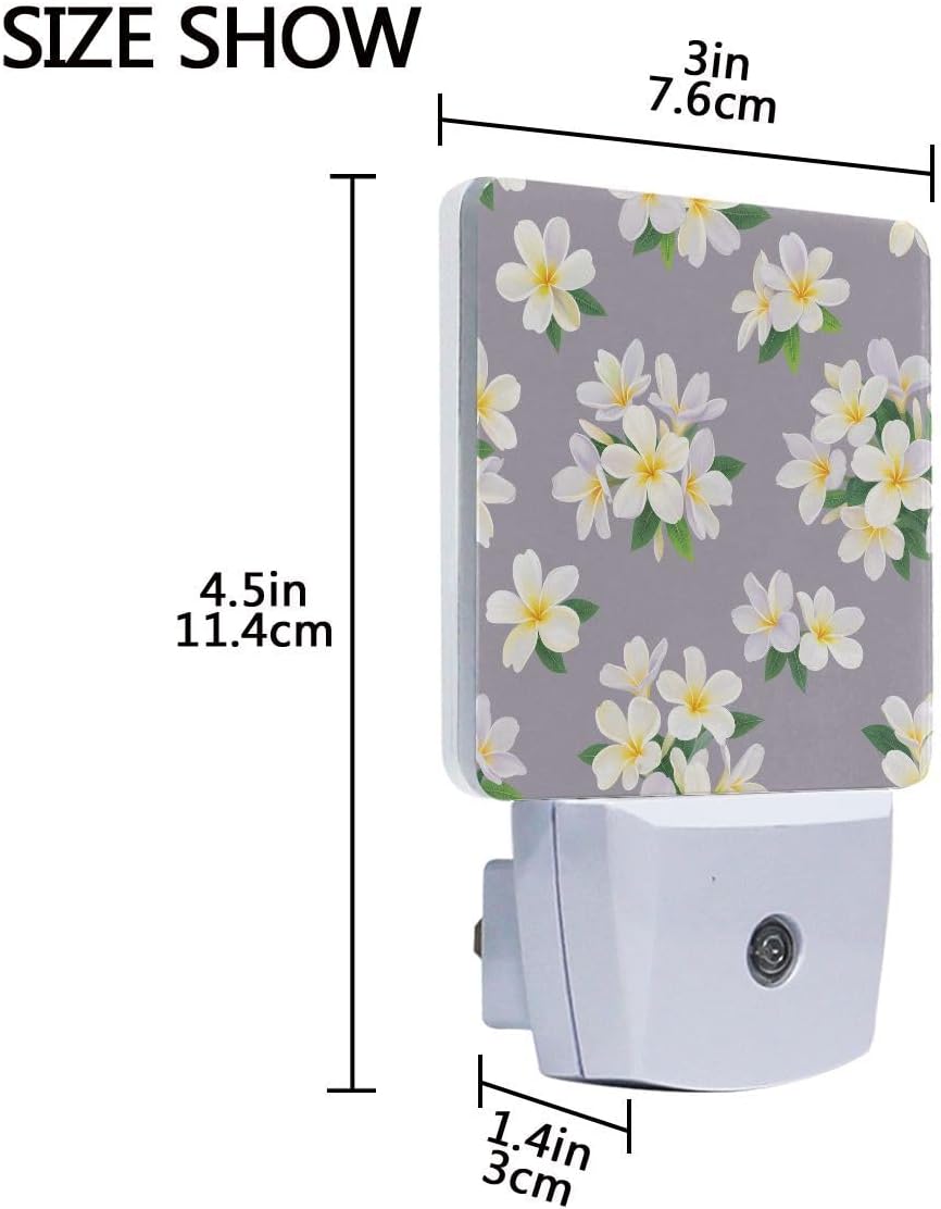 Plug-in LED Night Light Lamp Tropical Plumeria Flowers Printing with Dusk to Dawn Sensor for Bedroom, Bathroom, Hallway, Stairways, 0.5W-2 Pack