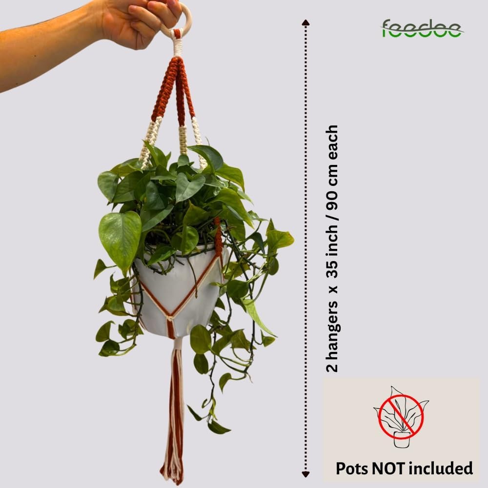 feedee 2 Pack Plant Hanger Indoor, Hanging Plant Holder, Macrame Plant Hangers, Handmade Boho Two-Tone Plant Hanger, Indoor Outdoor Flower Pots Holder, Home Décor Ivory (POTS NOT Included)