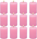 12 Pack 2x3 Inch Pink Pillar Candles for Romantic Valentine's Day, Unscented Column Candles for Home Restaurants Spa Church Weddings, Smokeless Dripless and Clean Burning Emergency Candle