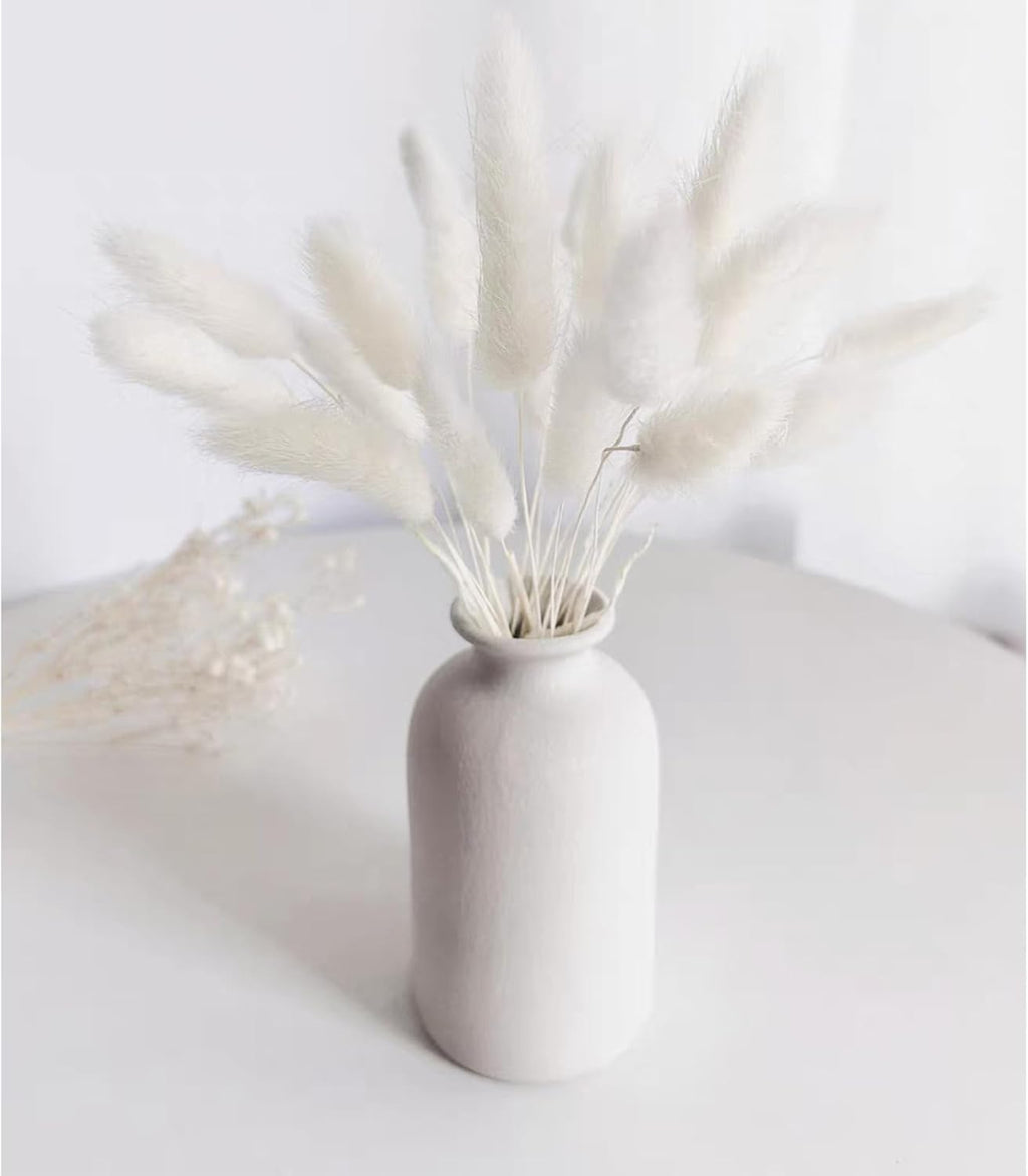 120pcs Bunny Tail Pampas Grass Dried Flowers for Vase Boho Flowers Dried Babys Breath Wedding Decor Dry Flowers for Vase (White 60PCS+Pink 60PCS)
