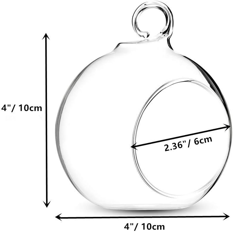 NUPTIO Hanging Glass Terrarium Planters, 4 Pcs, 4 Inch