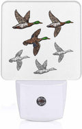 LED Night Light Plug into Wall with Dusk to Dawn Light Sensor White Energy Efficient Duck Mallard Wild Bird Nightlight for Bedroom Bathroom Hallway Living Room Kitchen