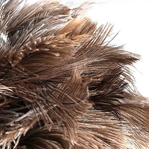 DDZMZ Large Ostrich Feather Duster with Long Wooden Handle,24 inch