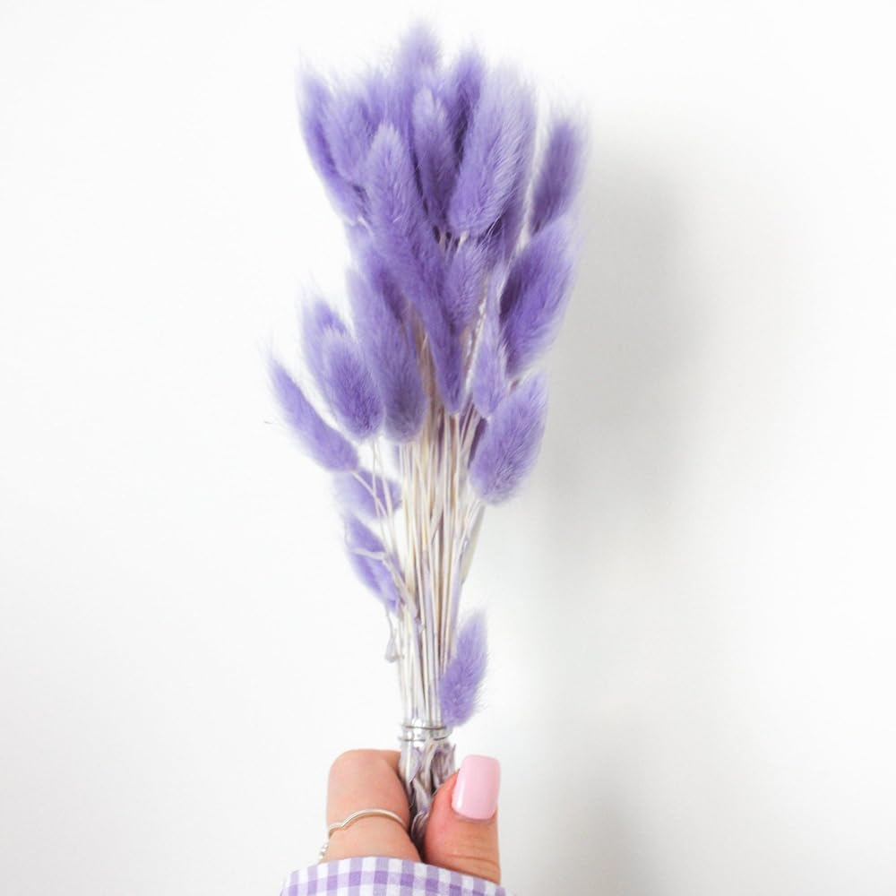 60PCS Rabbit Tail Grass Dried Flowers Dried Natural Floral (Purple)