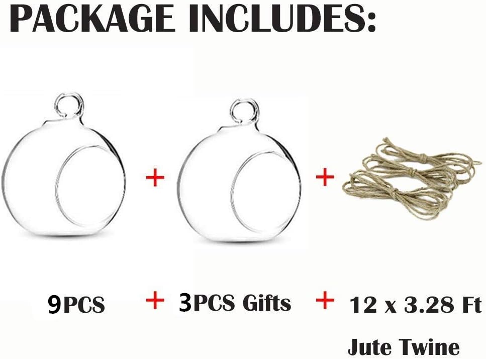 NUPTIO Hanging Glass Terrarium Globes, 12 Pcs, 3.15 Inch