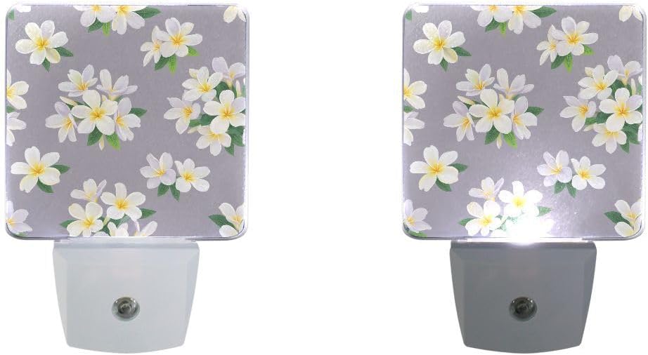 Plug-in LED Night Light Lamp Tropical Plumeria Flowers Printing with Dusk to Dawn Sensor for Bedroom, Bathroom, Hallway, Stairways, 0.5W-2 Pack