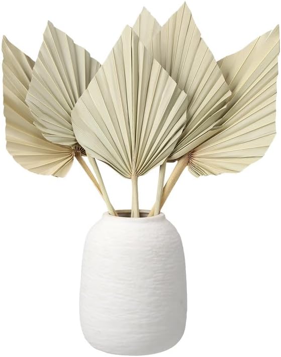 6 Pcs Small Boho Dried Palm Fans Dried Palm Spears Leaveswith Stem