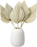 6 Pcs Small Boho Dried Palm Fans Dried Palm Spears Leaveswith Stem