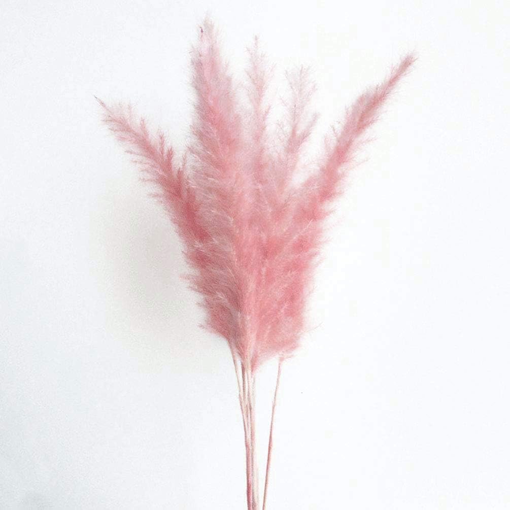 60 Stems 22 Inch Natural Dry Flowers Small Pampas Grass, Phragmites Communis, Dried Flowers Bouquet for Wedding Floral Arrangements Home Decorations (Pink)