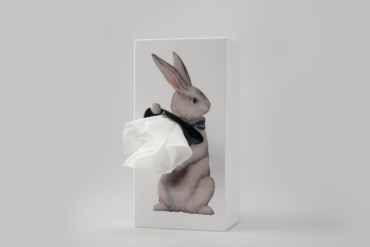 Magic Rabbit Tissue Box - Whimsical Magician Hat Illusion