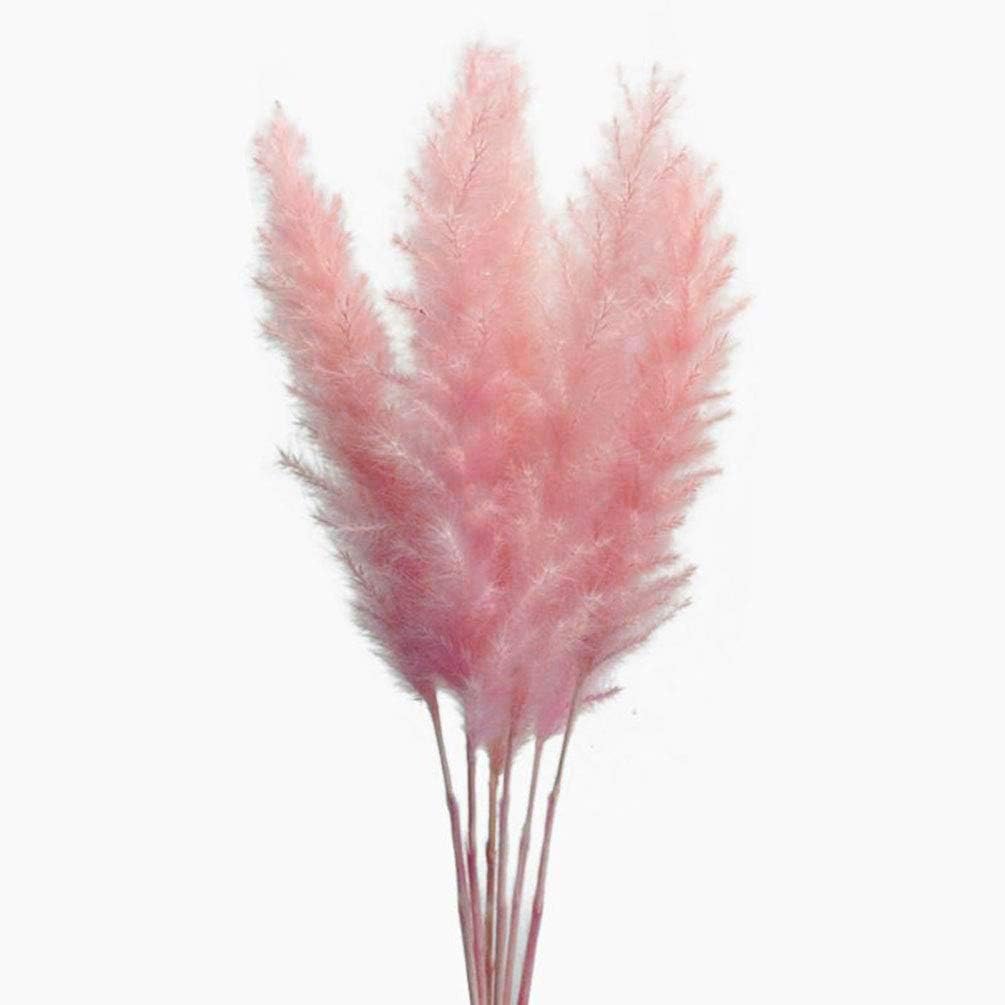 60 Stems 22 Inch Natural Dry Flowers Small Pampas Grass, Phragmites Communis, Dried Flowers Bouquet for Wedding Floral Arrangements Home Decorations (Pink)