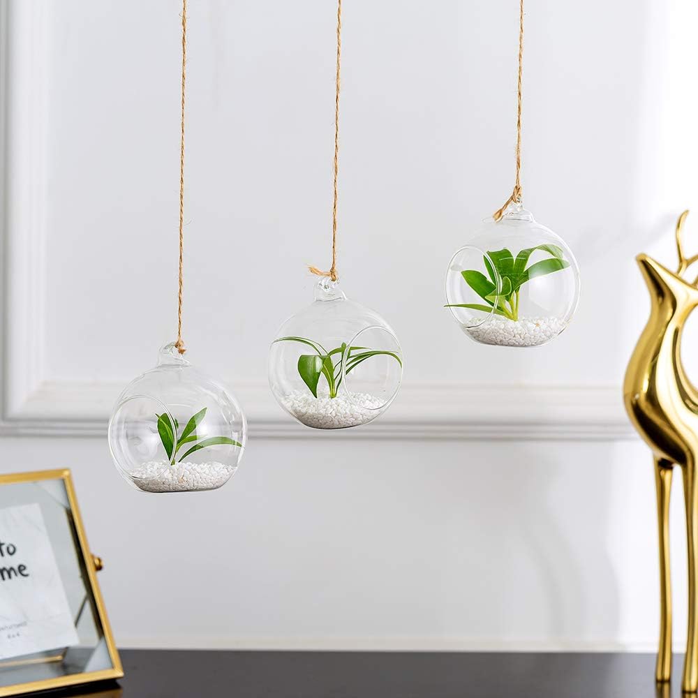 NUPTIO Hanging Glass Terrarium Globes, 12 Pcs, 3.15 Inch