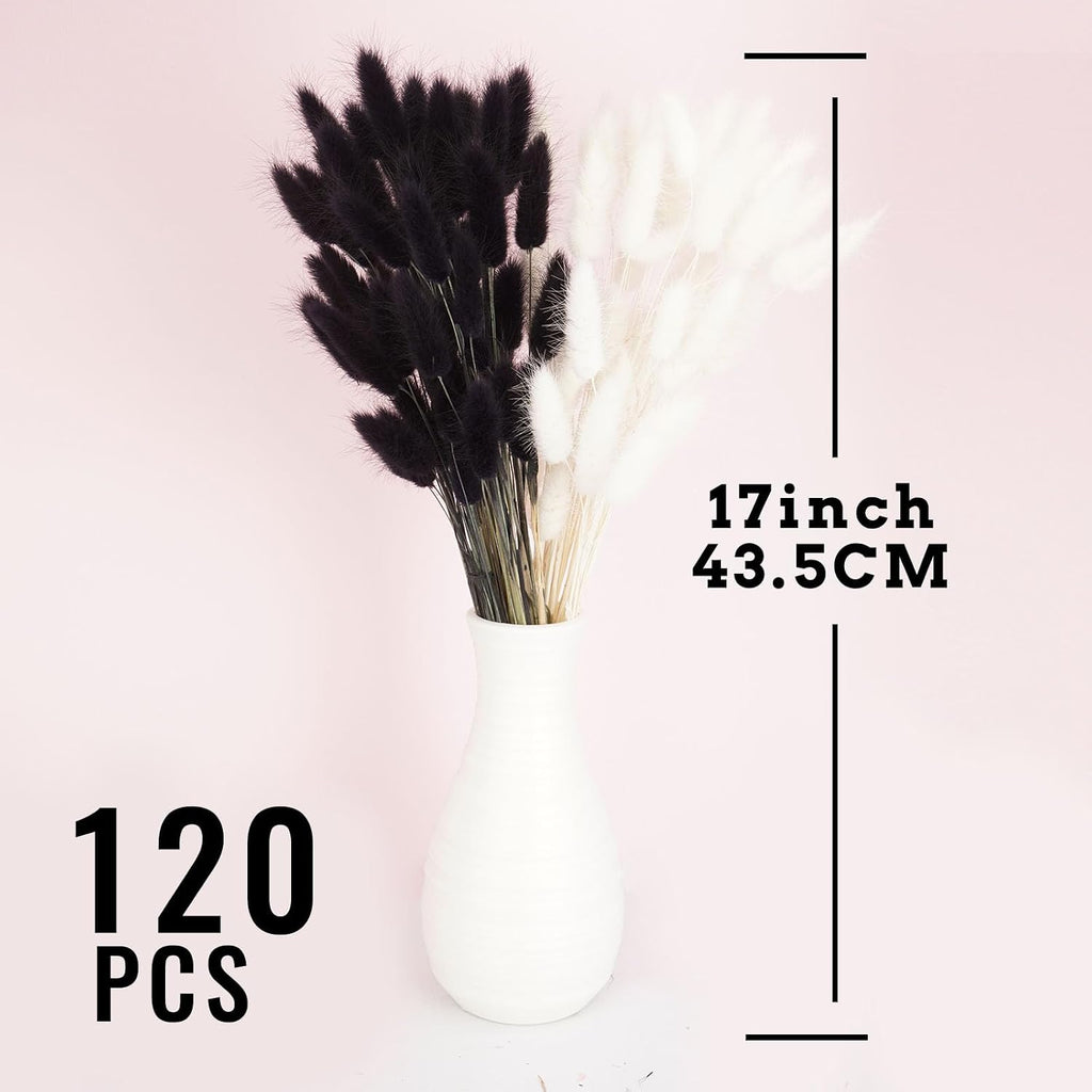 120pcs Bunny Tail Pampas Grass Dried Flowers for Vase Boho Flowers Dried Babys Breath Wedding Decor Dry Flowers for Vase (White 60PCS+Black 60PCS)