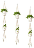 Mkono Macrame Plant Hanger 3 Tier Indoor Outdoor Hanging Planter Basket Cotton Rope with Beads 70 Inches (Pots and Plants NOT Included) (Pack of 3)