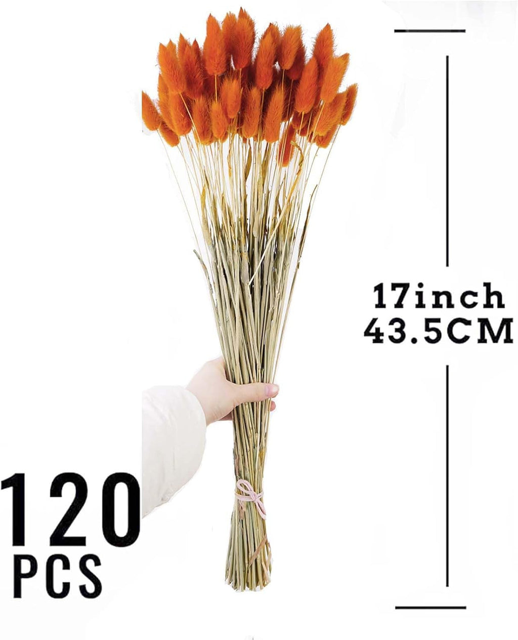 120pcs Orange Bunny Tail Pampas Grass Dried Flowers for Vase Boho Flowers Dried Babys Breath Wedding Decor Dry Flowers for Vase (Orange 120 PCS)