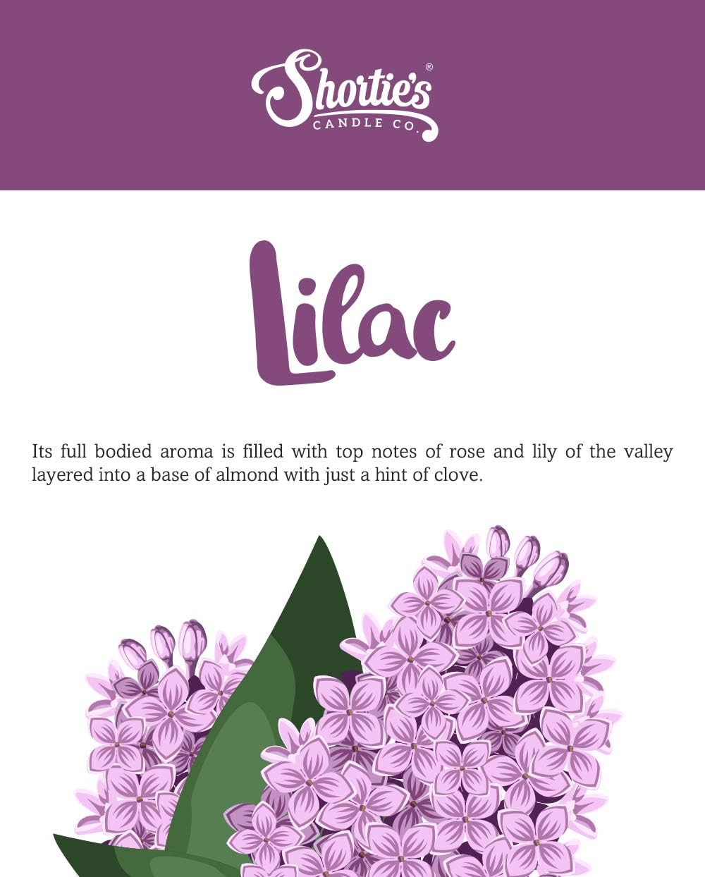 Shortie's Candle Company Pure Lilac Premium Wax Melts 4 Pack - 12 Oz., Strong & Long Lasting, Non-Toxic - Made with Essential & Natural Oils - Formula 117