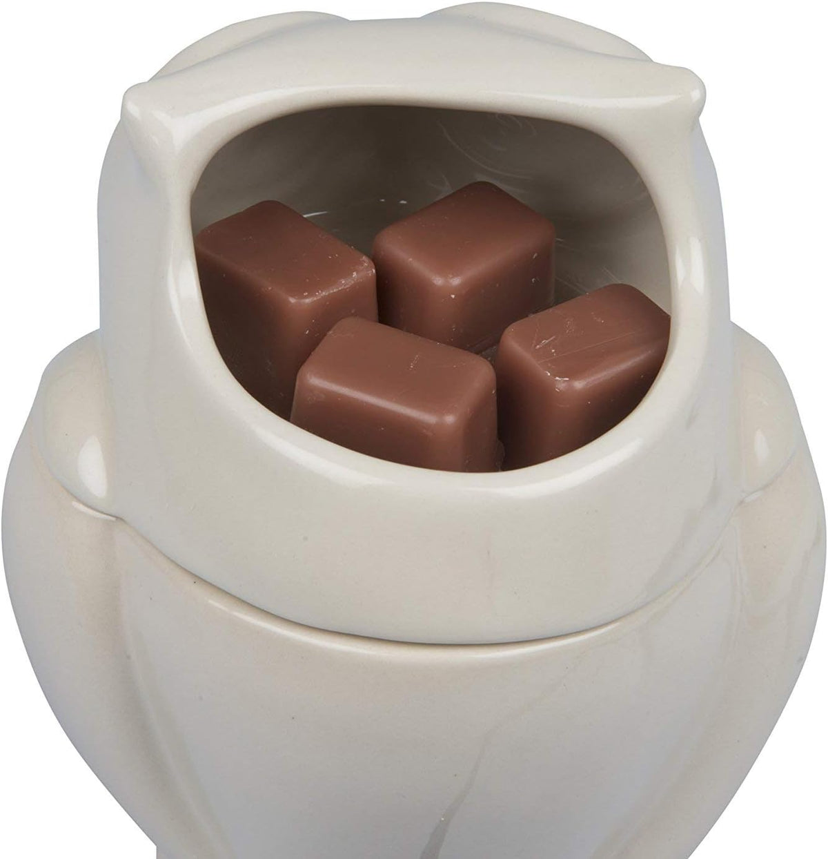 D'Eco Owl Electric Wax Melt & Candle Warmer with 4 Fragrance Cinnamon Cubes