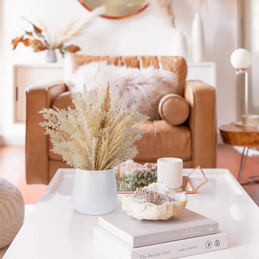 Hollyone Faux Pampas Grass with Vase, Artificial Pampas Grass Flowers Bouquet Plant Fluffy Boho Home Decor Fake Pompass Pompous Grass Floral Arrangement for Wedding Party Table Room Decorations Taupe