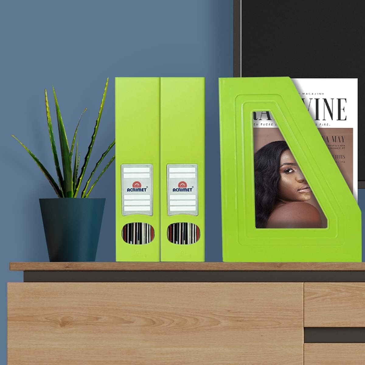 Acrimet Magazine File Holder, Vertical Desk Organizer, Green Citrus, 2 Pack