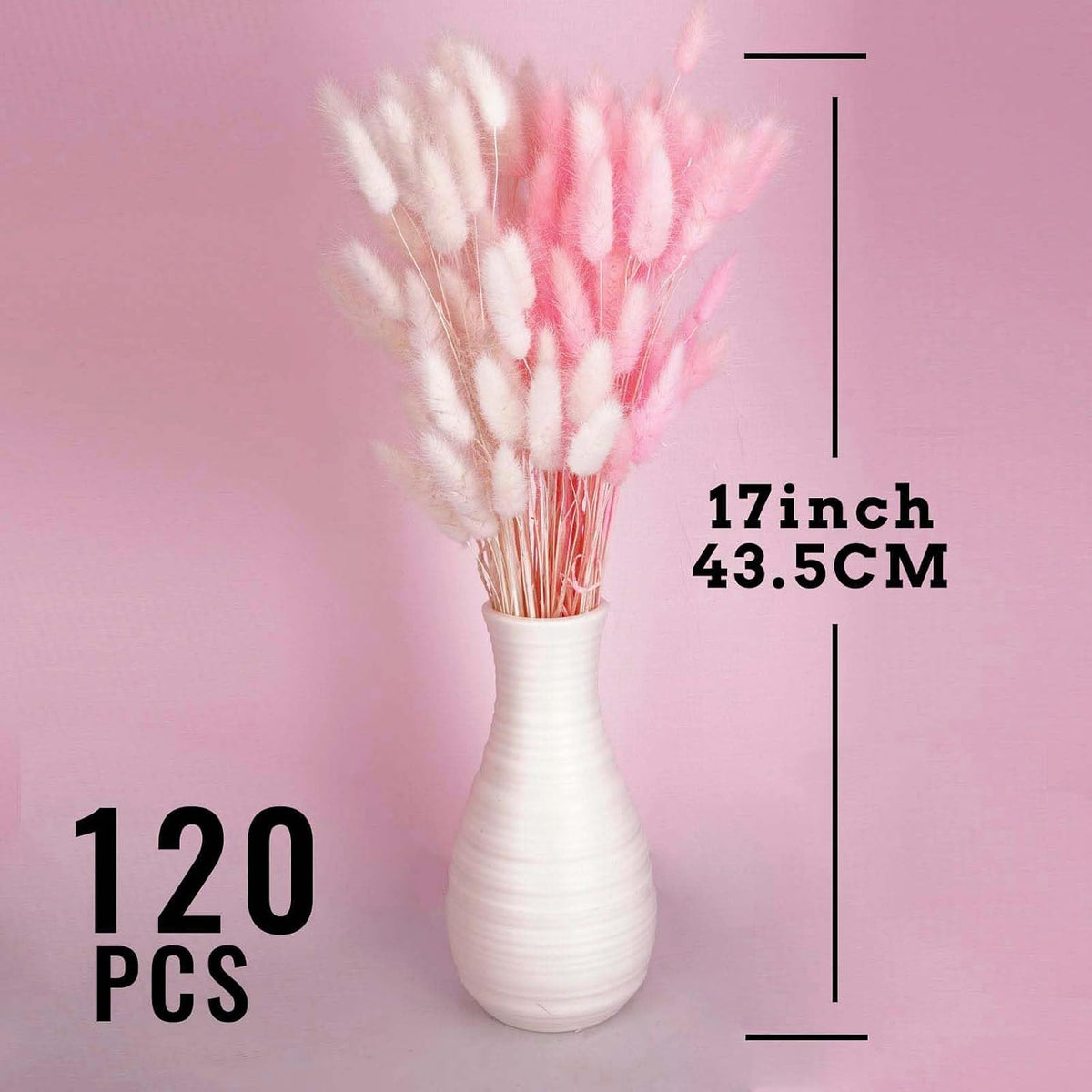 120pcs Bunny Tail Pampas Grass Dried Flowers for Vase Boho Flowers Dried Babys Breath Wedding Decor Dry Flowers for Vase (White 60PCS+Pink 60PCS)