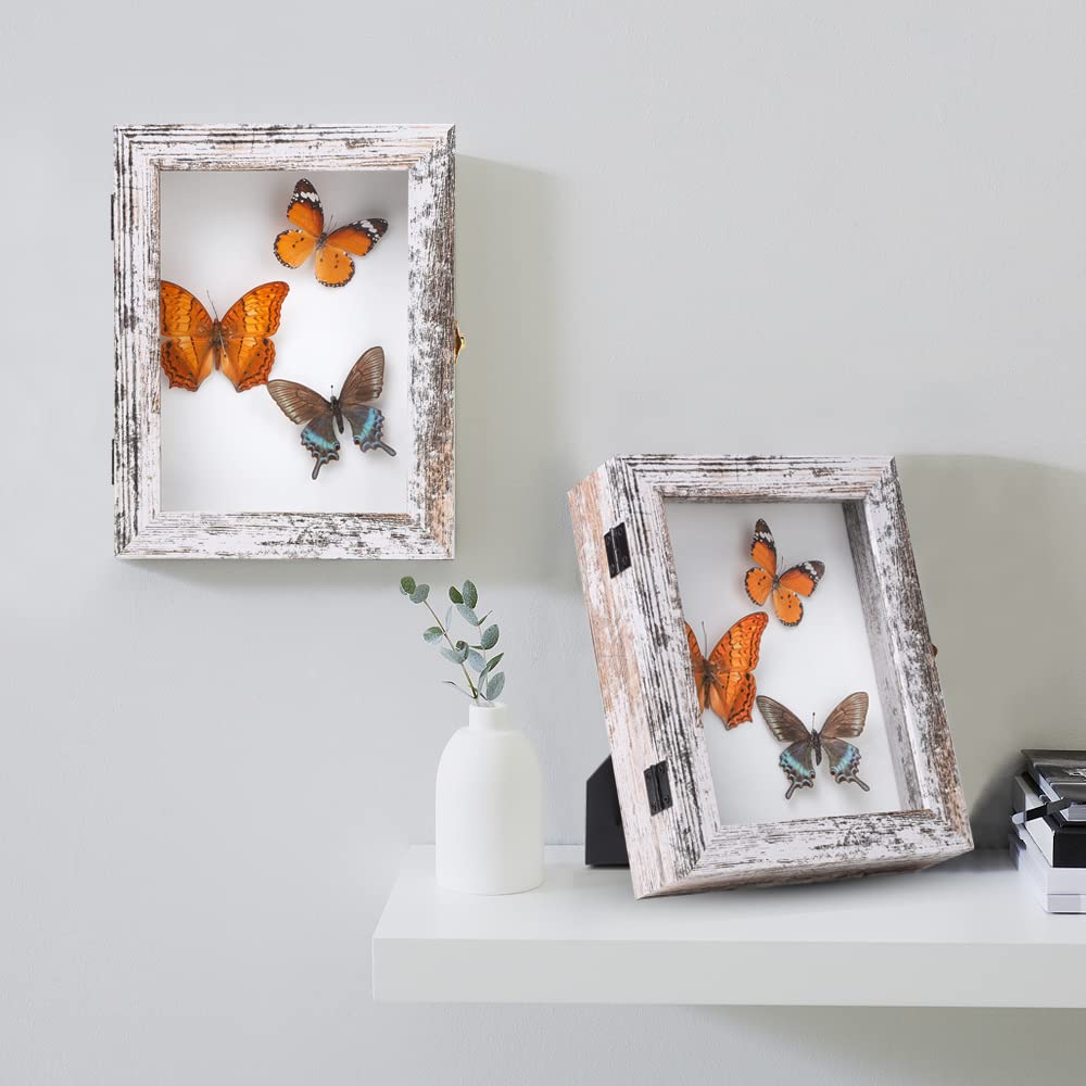 IHEIPYE Insect Display Case Bug Display Case Shadow Box Small Rustic White
