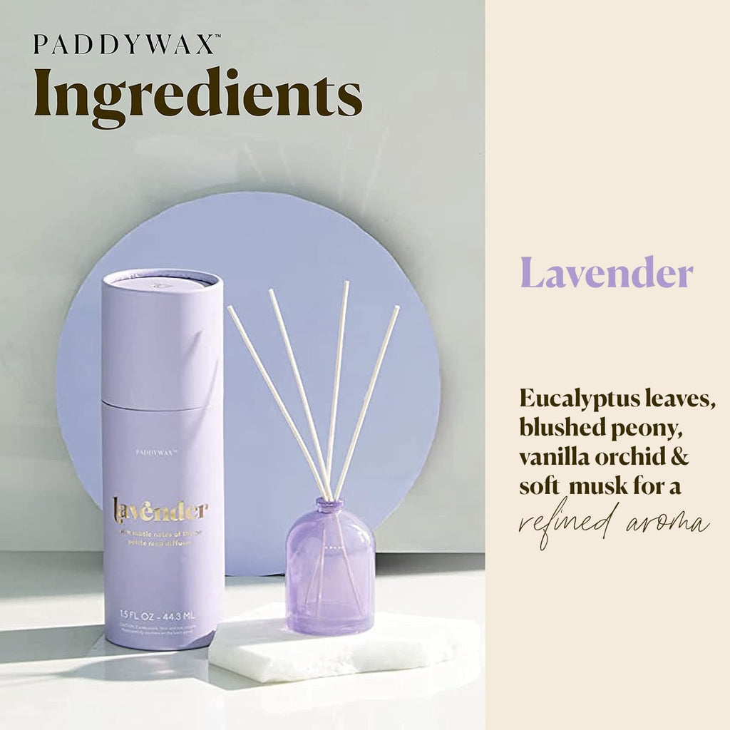 Paddywax Petite Reed Diffuser Set, Lavender, Lilac, 1.5 oz