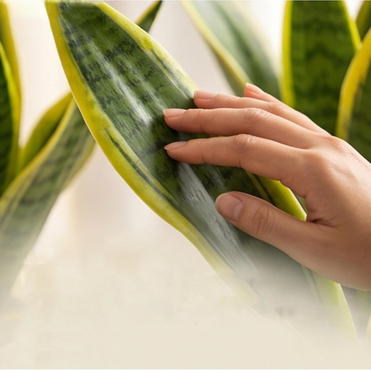 8" Fake Snake Plant in White Ceramic Pot,Small Fake Plant