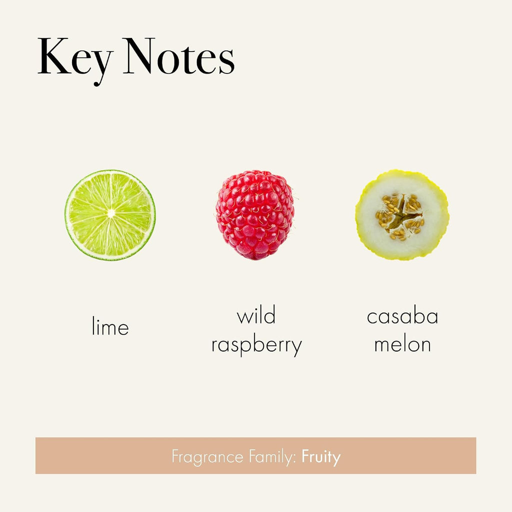 LAFCO New York Classic Reed Diffuser, Paloma Melon - 6 oz - Up to 3 Months Fragrance Life - Reusable Glass Vessel - Natural Wood Reeds - Made in the USA