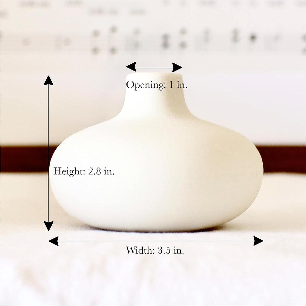 Carrot's Den Small White Ceramic Bud Vase Set of 6, Nordic Minimalist