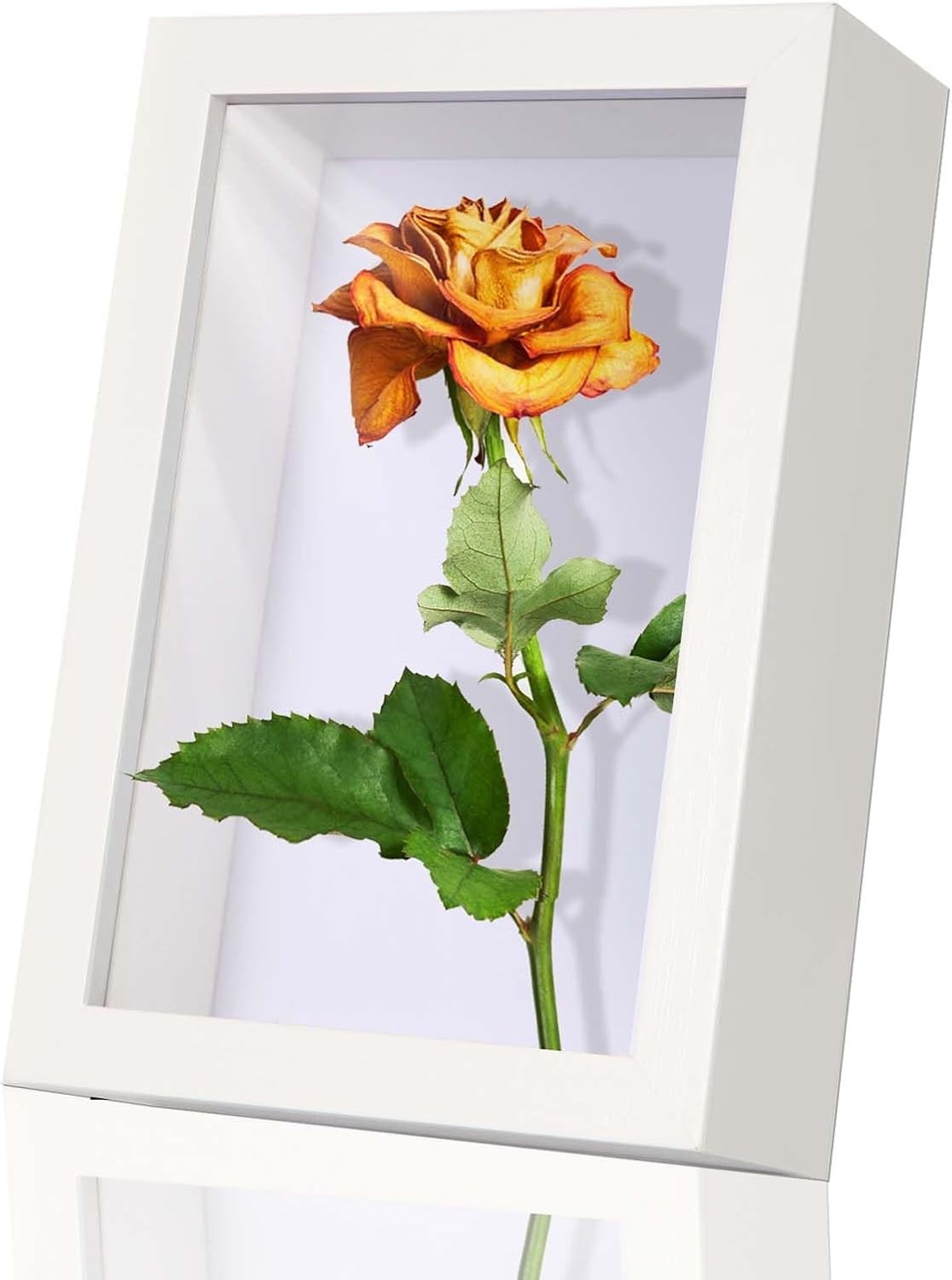 4x6 White Shadow Box Frame Display Case