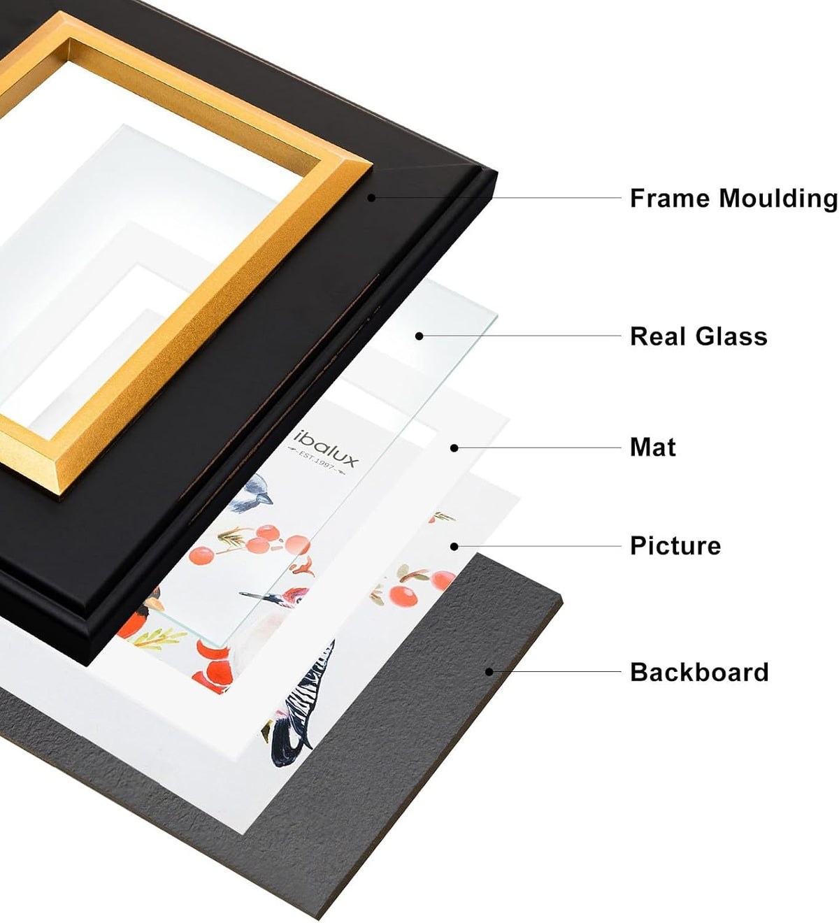 8x10 Black Wood Picture Frame with Real Glass, Gold Inner Border, Matted to 5x7, Vertical and Horizontal for Tabletop or Wall Hanging