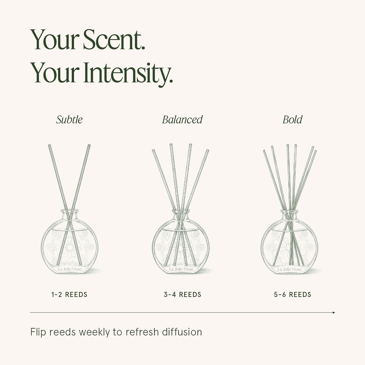 LA JOLIE MUSE Eucalyptus Sage Reed Diffuser, Scented Room Diffuser for Home