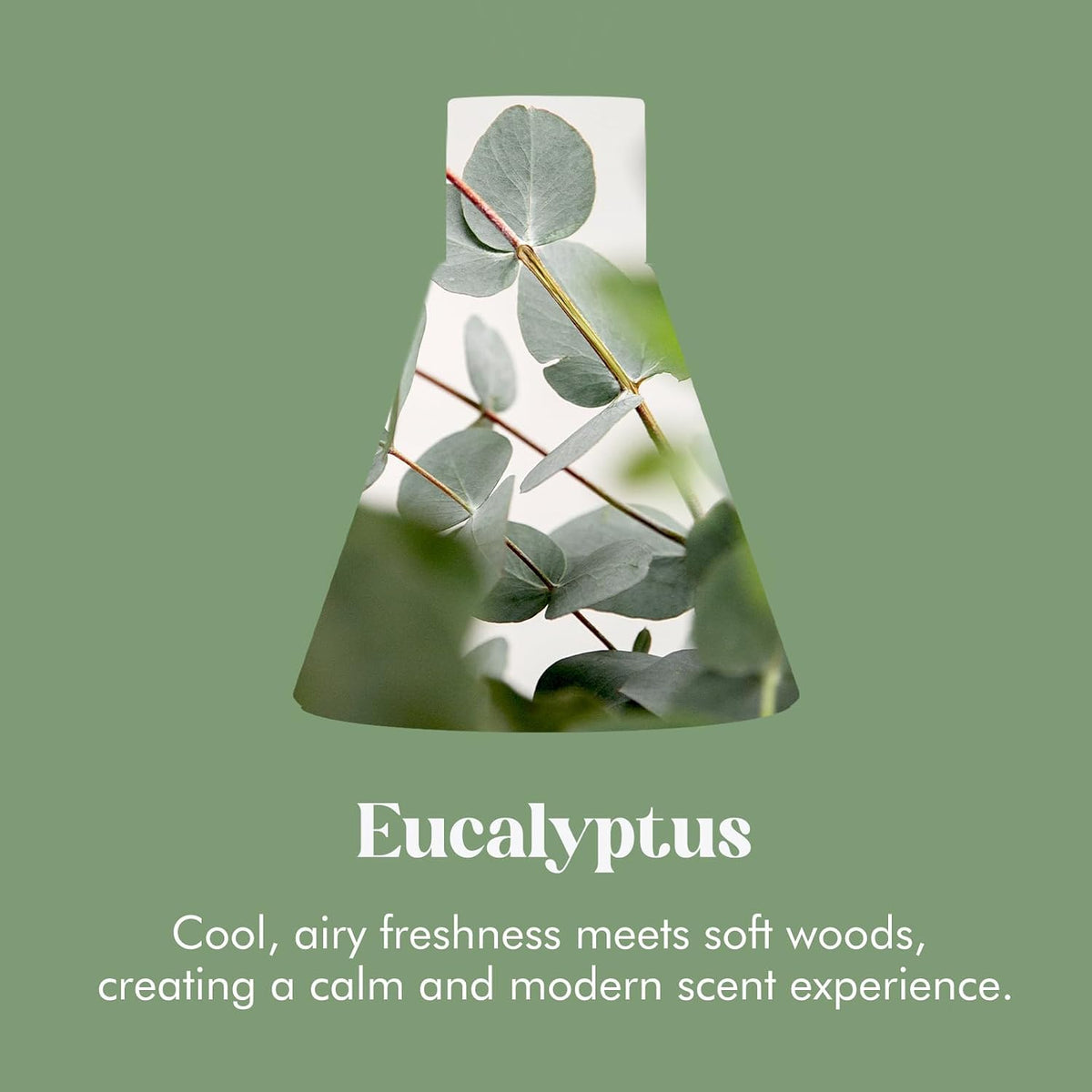 Azulfra Reed Diffuser Set Eucalyptus 3.4 oz, Room Shelf Decor