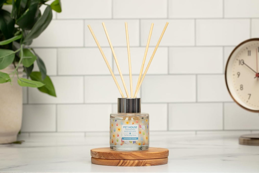 Sunwashed Cotton Home Freshening Reed Diffuser Set Pet House