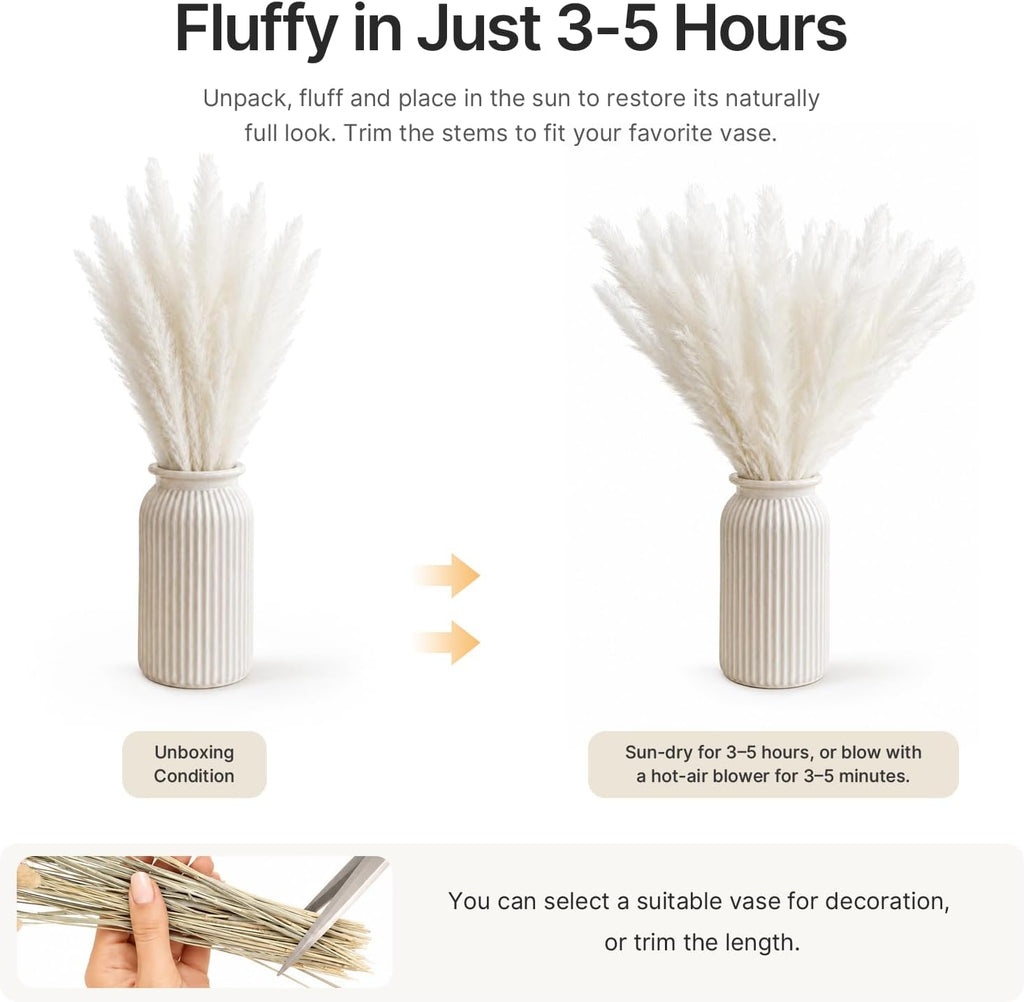 LIAN 100 Pcs White Small Pampas Grass Bouquet, Dried Reeds for Boho Decor