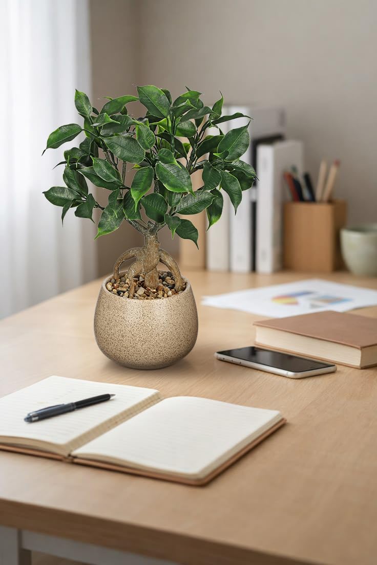 Artificial Bonsai Tree Fake Small Ficus Plant with Ceramic Pot Indoor Plant