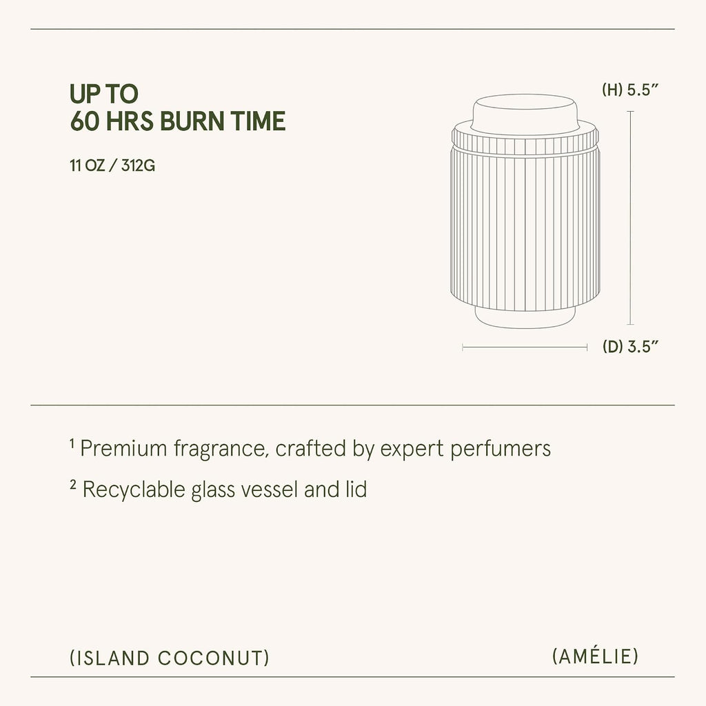 LA JOLIE MUSE Island Coconut Vanilla Scented Candles for Home, Natural Soy