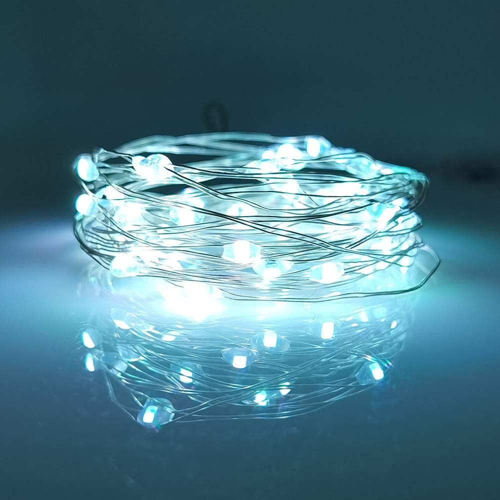 LIIDA [10-Pack] LED String Lights, 6.6FT LED Moon Lights 20 Led Micro Lights On Silver Copper Wire (Batteries Include) for DIY Wedding Centerpiece, Table Decoration, Party (Cool White)